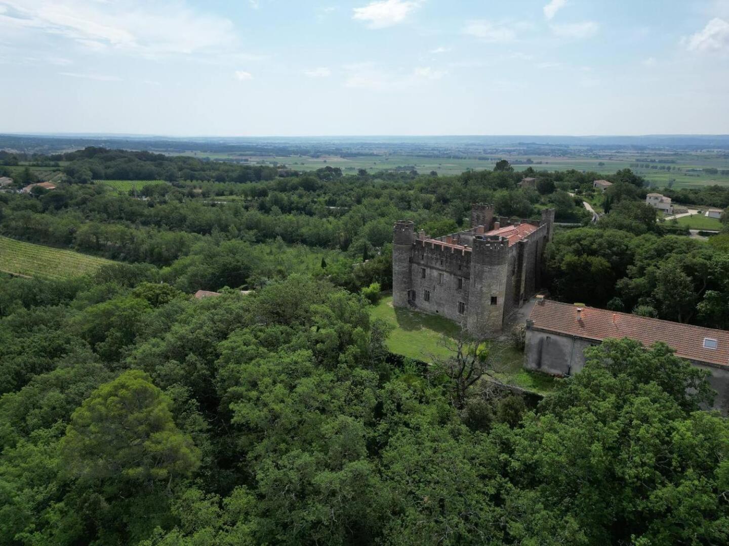 Appartement Spacieux Avec Deux Chambres Au Chateau Valence (Gard) Exterior foto